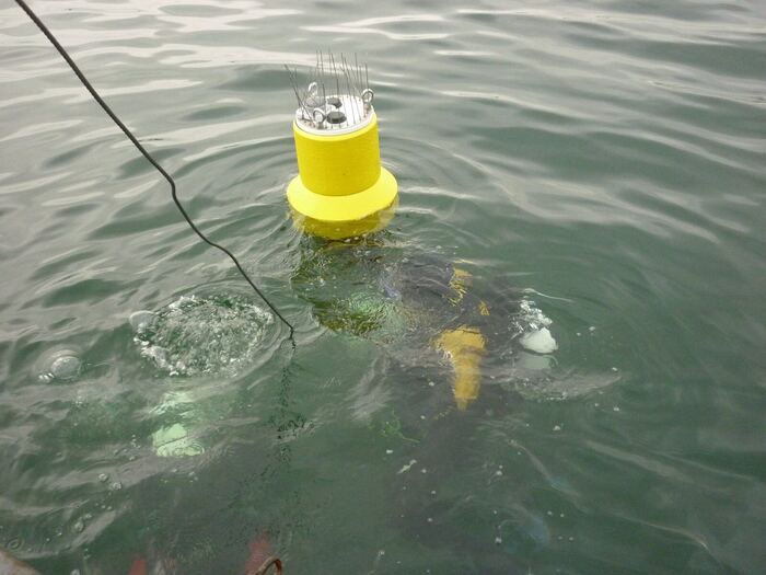 Hilfspegel-Boje auf einem Binnensee: gelber Schwimmkörper mit Antennen­halterung, Service-Tauchgang.