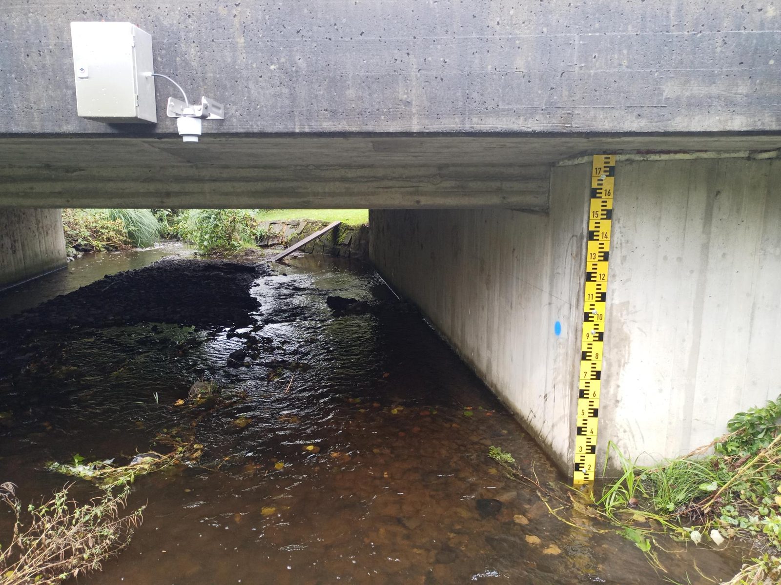 Peilstation aan een beek onder een betonnen brug met gele peilstok