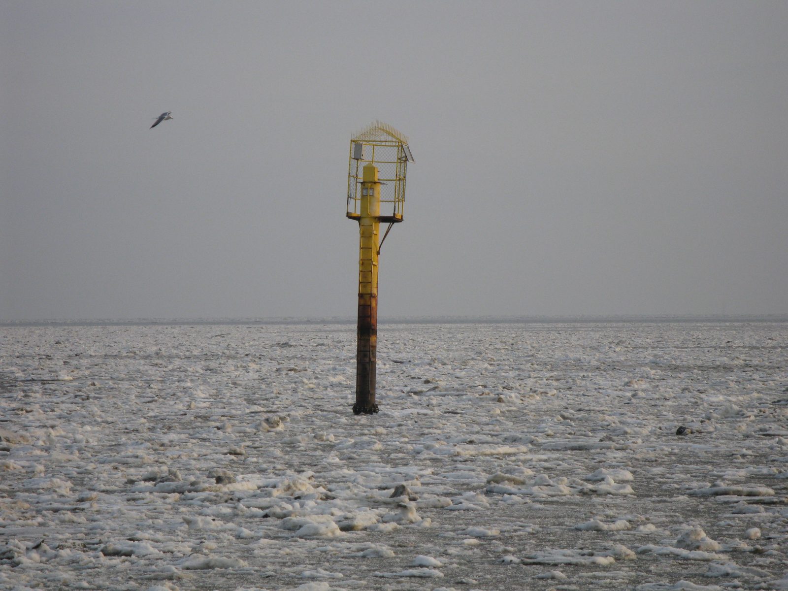 Beloopbare hulppeiltoren in de winterse Waddenzee, omringd door drijfijs